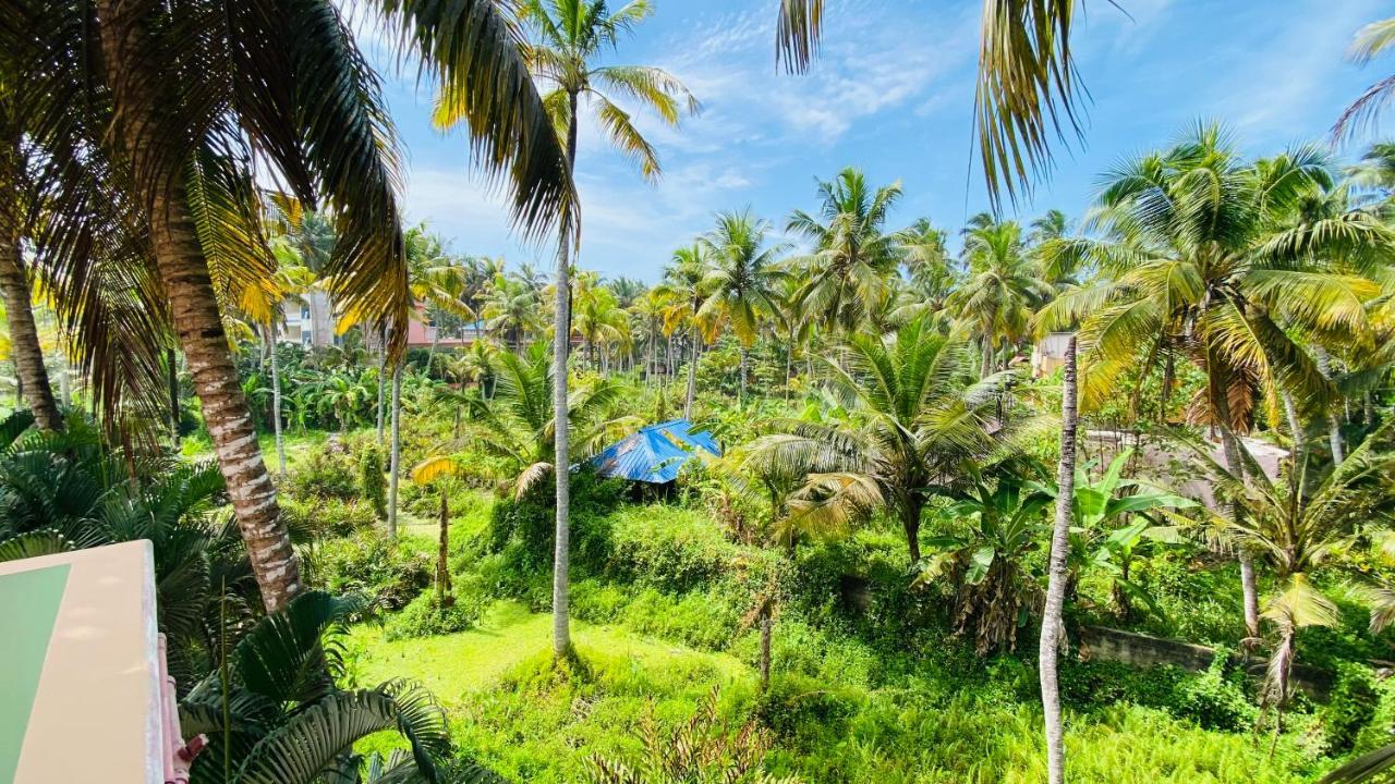 Packbag Comfort Bed & Breakfast Kovalam Dış mekan fotoğraf