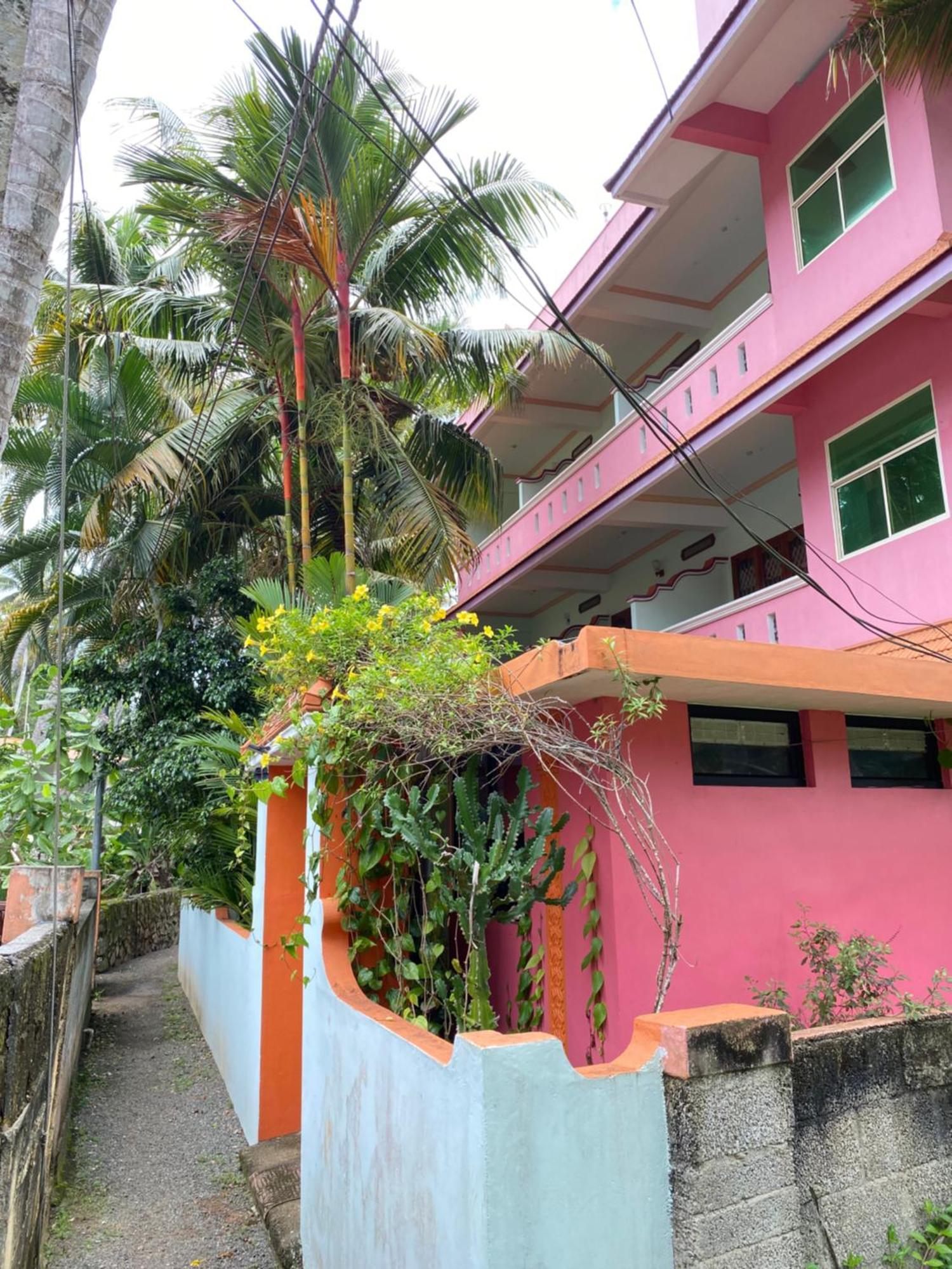Packbag Comfort Bed & Breakfast Kovalam Dış mekan fotoğraf