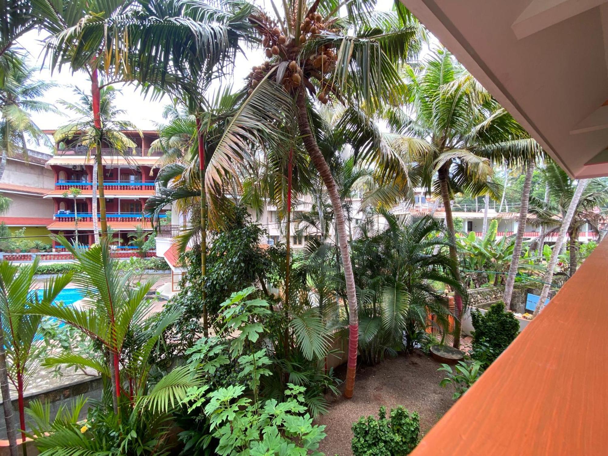 Packbag Comfort Bed & Breakfast Kovalam Dış mekan fotoğraf